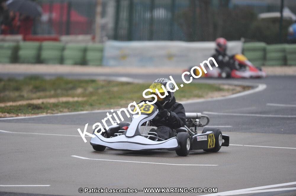 DSC_4235.JPG