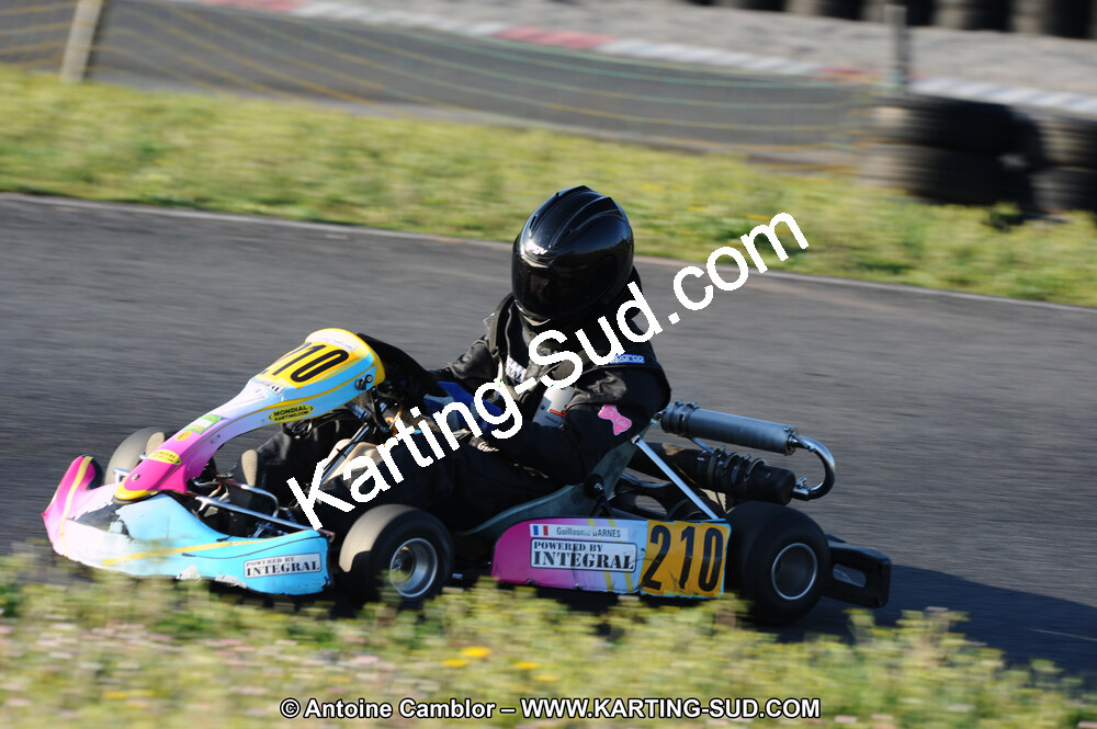 DSC_3681.JPG