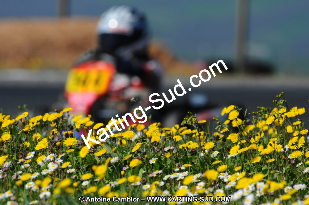 DSC_5232.JPG