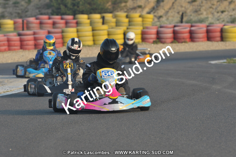 DSC_1731.JPG