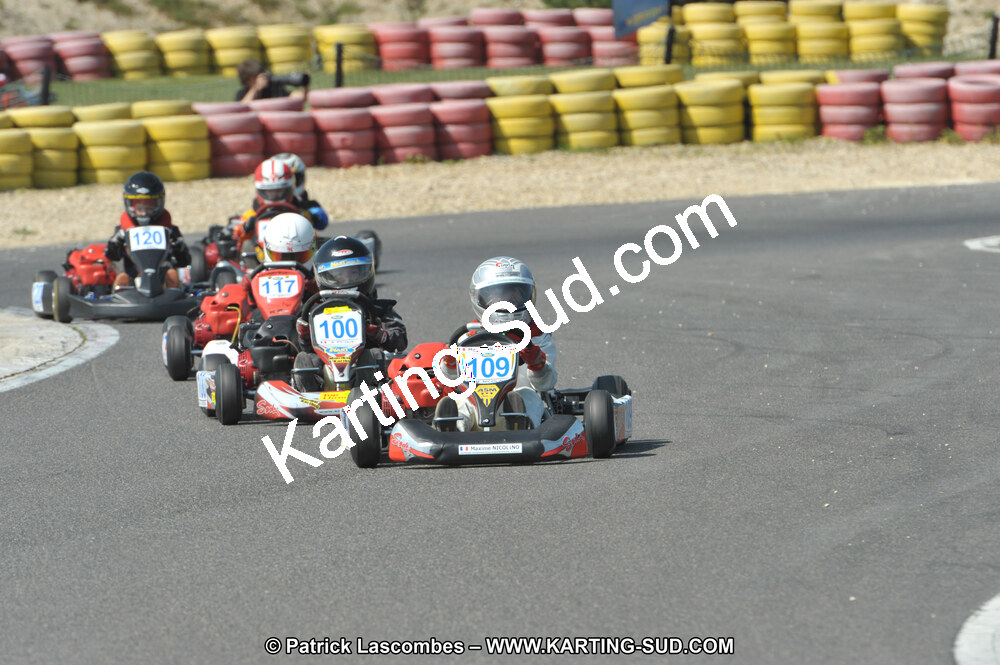 DSC_2013.JPG