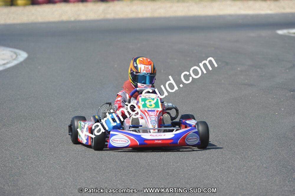 DSC_4769.JPG
