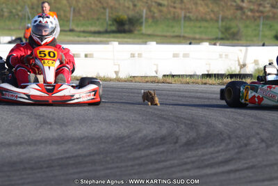 17/04/2011 : 2ème manche du Championnat Open Atlantique à Muret (Photos Stéphane Agnus) 2011 — karting