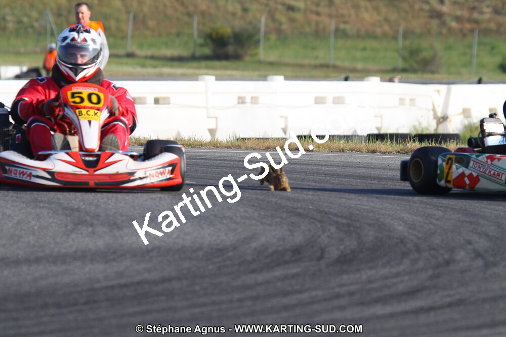 IMG_4662.JPG