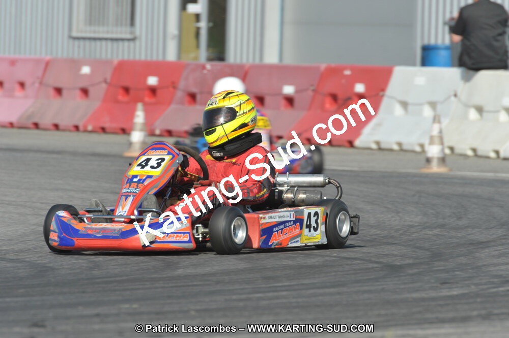 DSC_3453.JPG