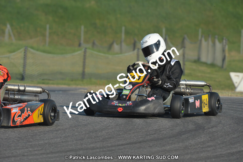 17/04/2011 : 2ème manche du Championnat Open Atlantique à Muret (Photos Patrick Lascombes) 2011 — karting