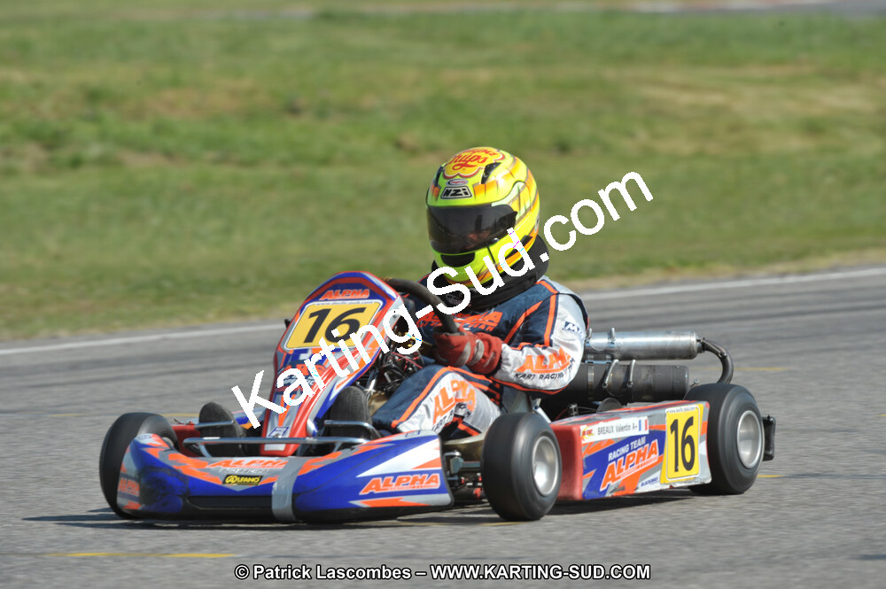 17/04/2011 : 2ème manche du Championnat Open Atlantique à Muret (Photos Patrick Lascombes) 2011 — karting