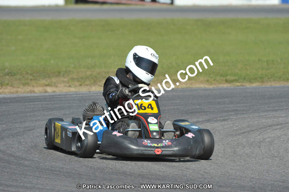 17/04/2011 : 2ème manche du Championnat Open Atlantique à Muret (Photos Patrick Lascombes) 2011 — karting