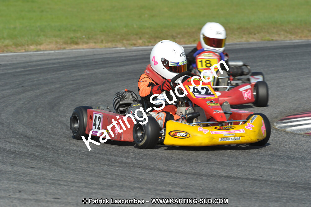 17/04/2011 : 2ème manche du Championnat Open Atlantique à Muret (Photos Patrick Lascombes) 2011 — karting