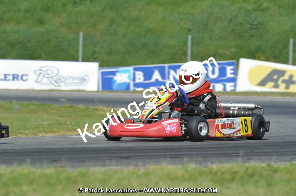 17/04/2011 : 2ème manche du Championnat Open Atlantique à Muret (Photos Patrick Lascombes) 2011 — karting