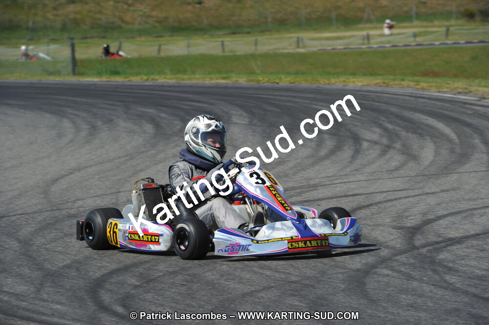 17/04/2011 : 2ème manche du Championnat Open Atlantique à Muret (Photos Patrick Lascombes) 2011 — karting