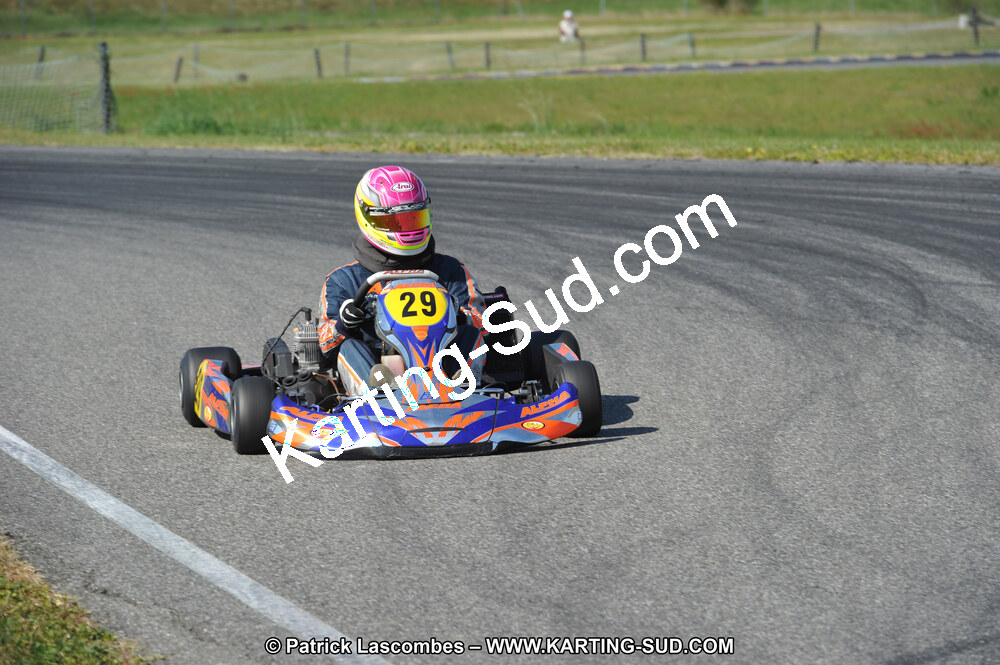 DSC_6863.JPG