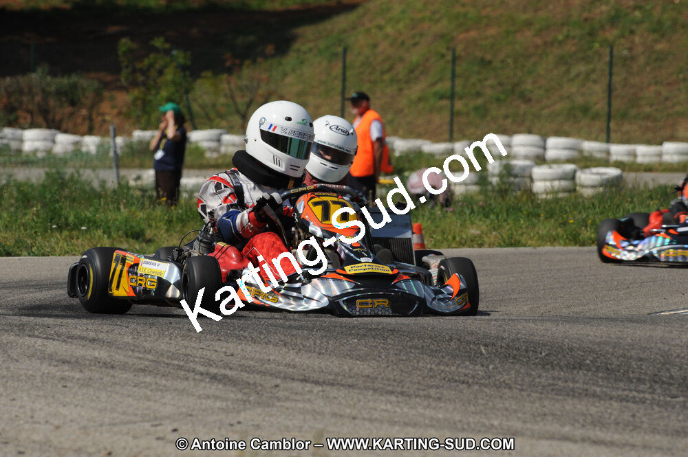 DSC_1223.JPG