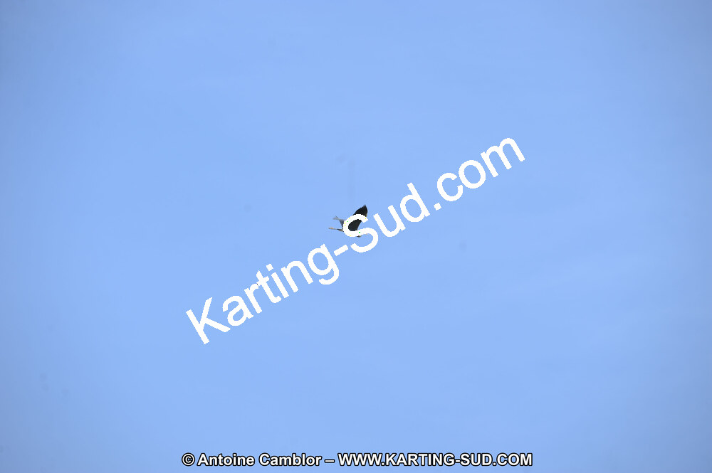 DSC_1493.JPG