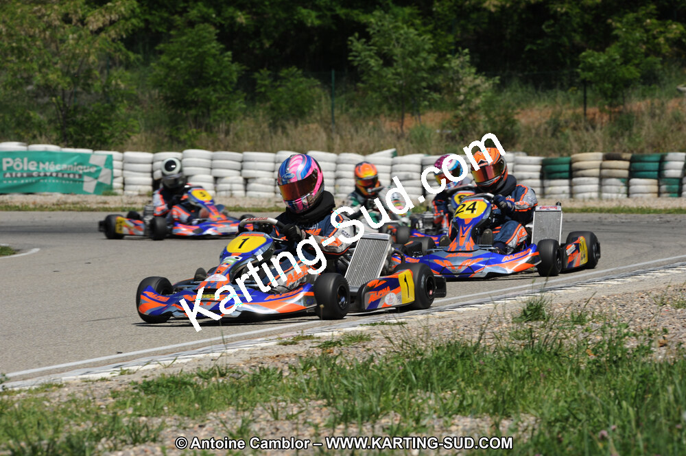 DSC_1713.JPG