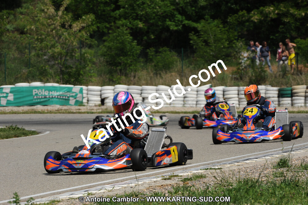 DSC_1729.JPG