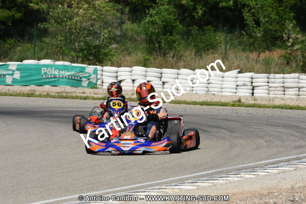 DSC_2315.JPG