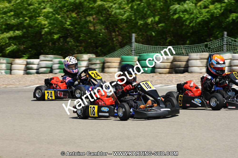 DSC_2633.JPG