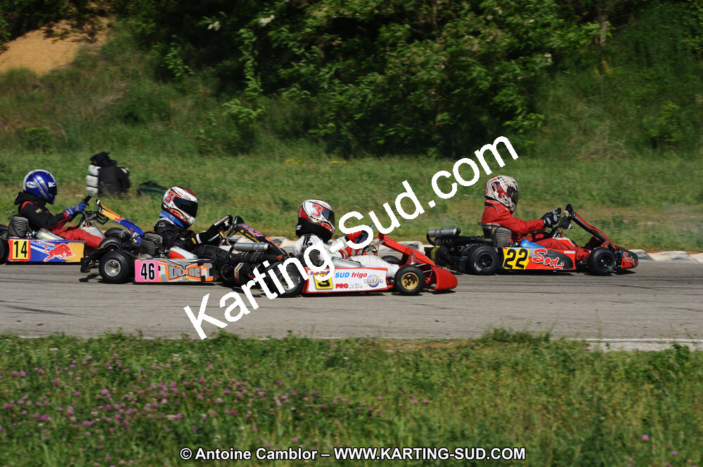 DSC_3130.JPG