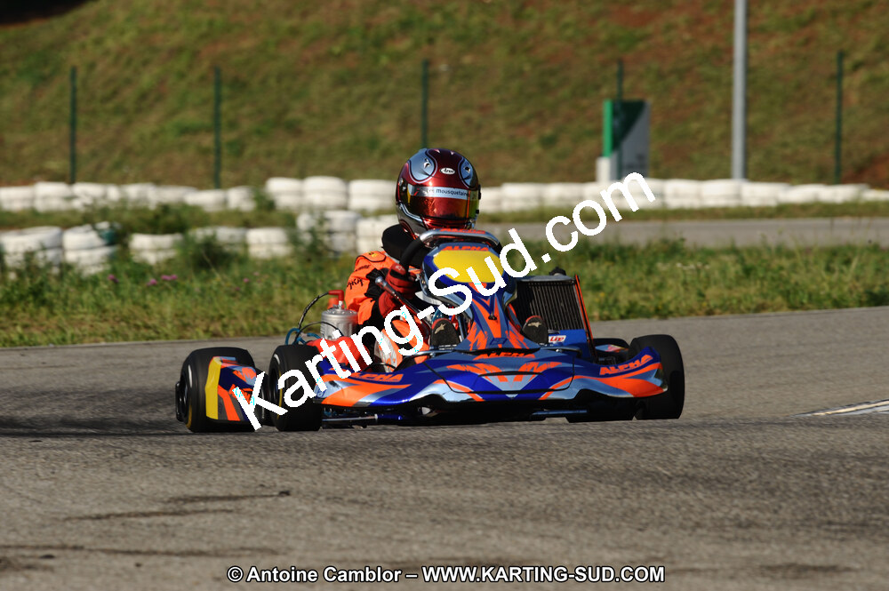DSC_7607.JPG