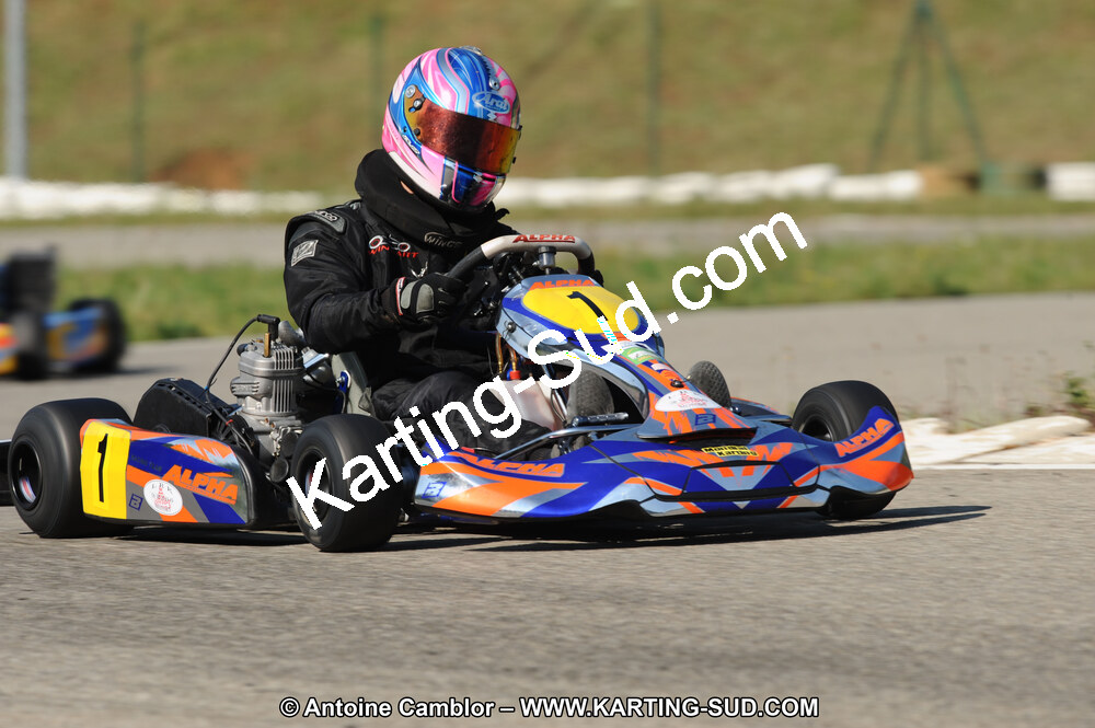 DSC_7868.JPG