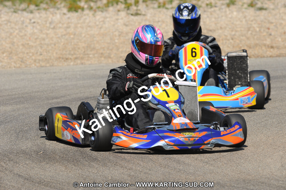 DSC_8248.JPG