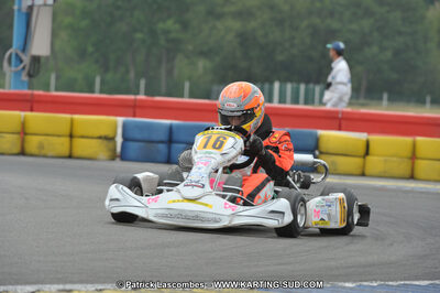 01/05/2011 : Challenge Minarelli Ouest - Le Mans (Photos Patrick Lascombes) 2011 — karting