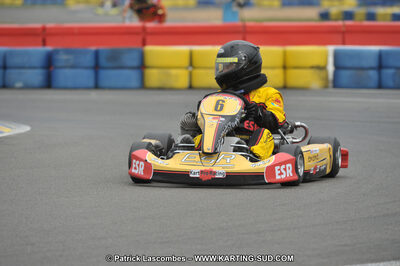 01/05/2011 : Challenge Minarelli Ouest - Le Mans (Photos Patrick Lascombes) 2011 — karting