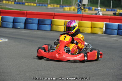 01/05/2011 : Challenge Minarelli Ouest - Le Mans (Photos Patrick Lascombes) 2011 — karting