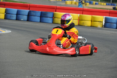 01/05/2011 : Challenge Minarelli Ouest - Le Mans (Photos Patrick Lascombes) 2011 — karting