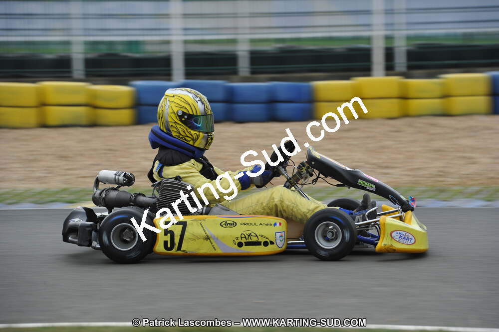 01/05/2011 : Challenge Minarelli Ouest - Le Mans (Photos Patrick Lascombes) 2011 — karting