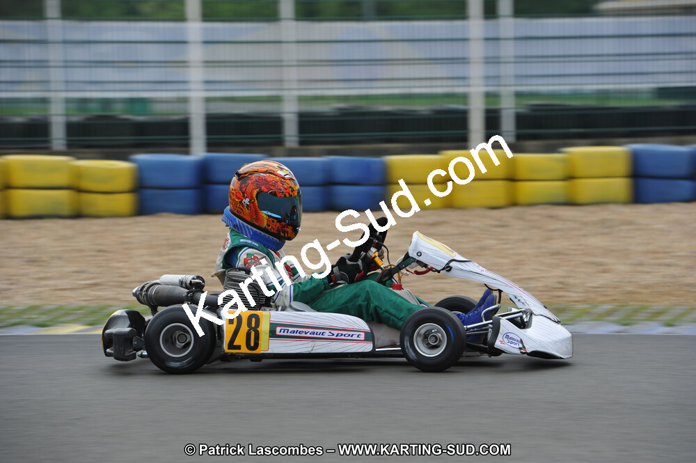 DSC_0264.JPG