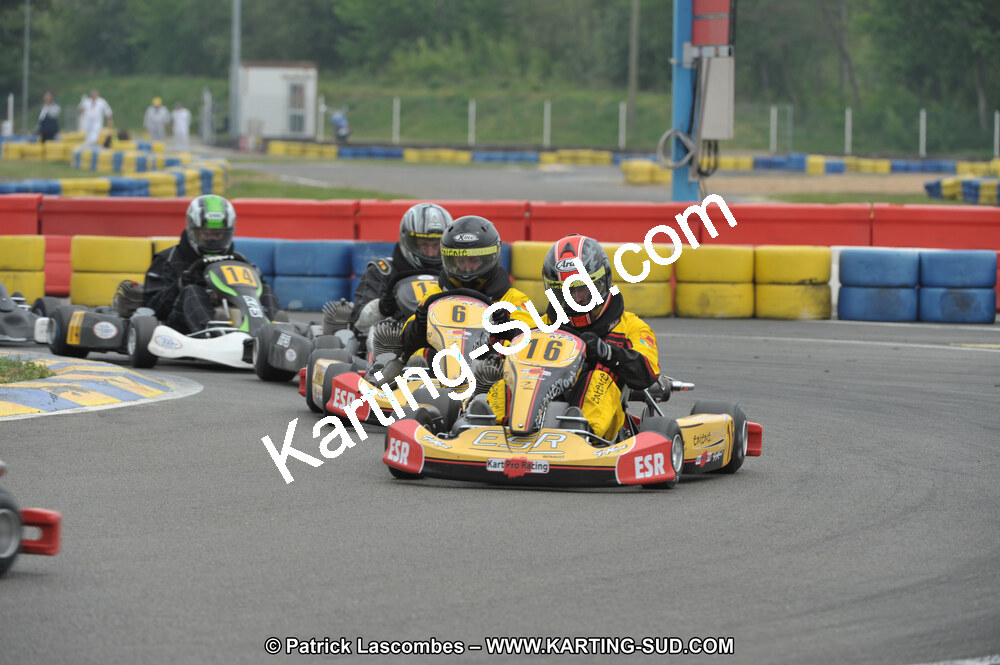 DSC_8157.JPG