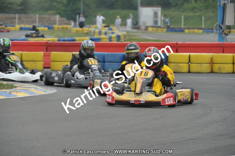 DSC_8174.JPG