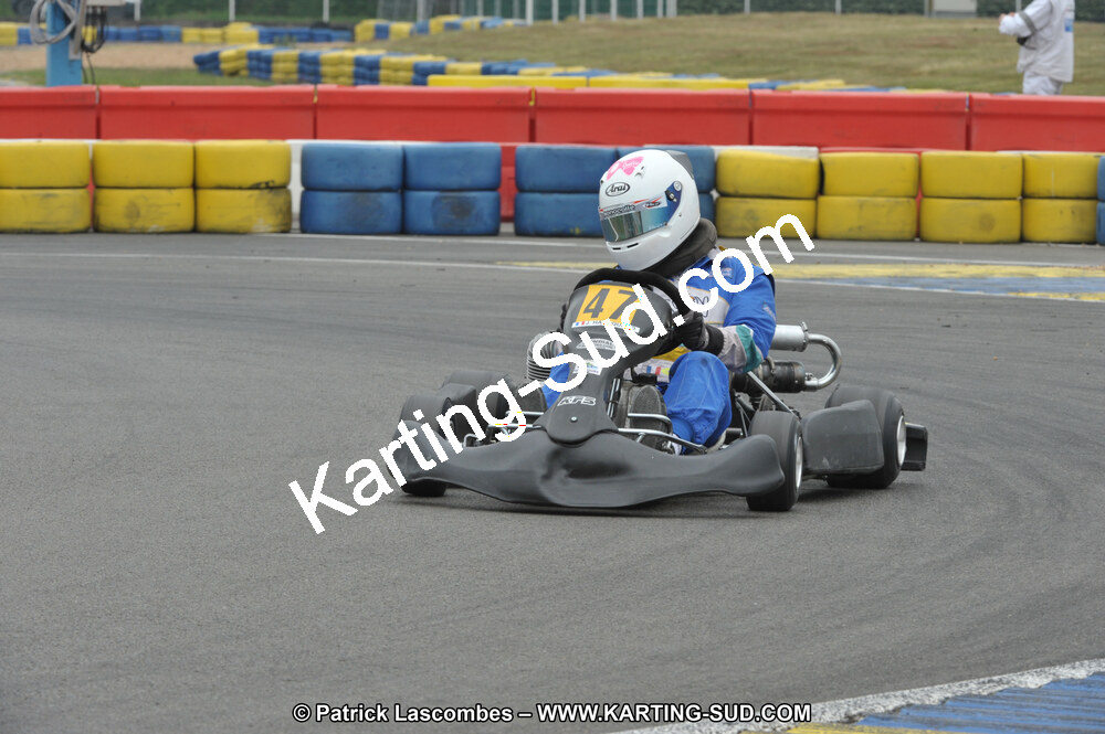 DSC_8263.JPG