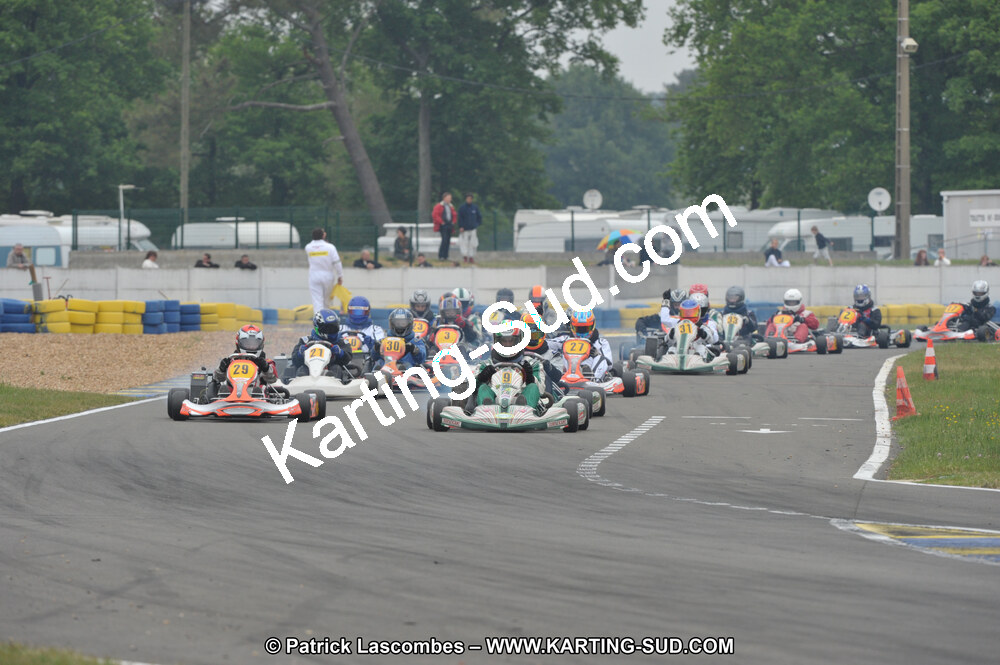 DSC_8522.JPG