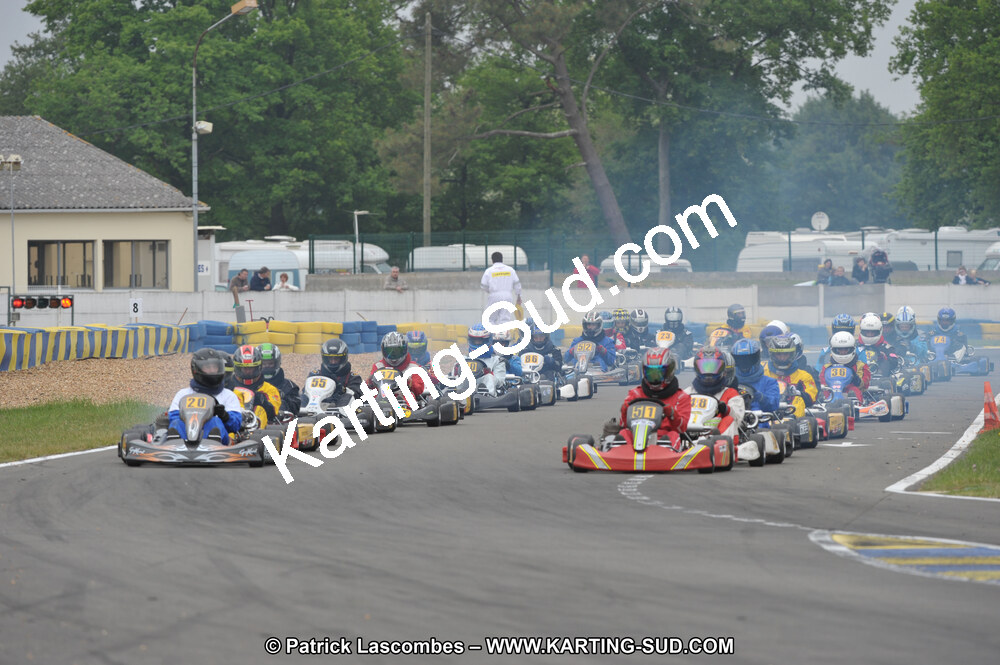 DSC_8677.JPG