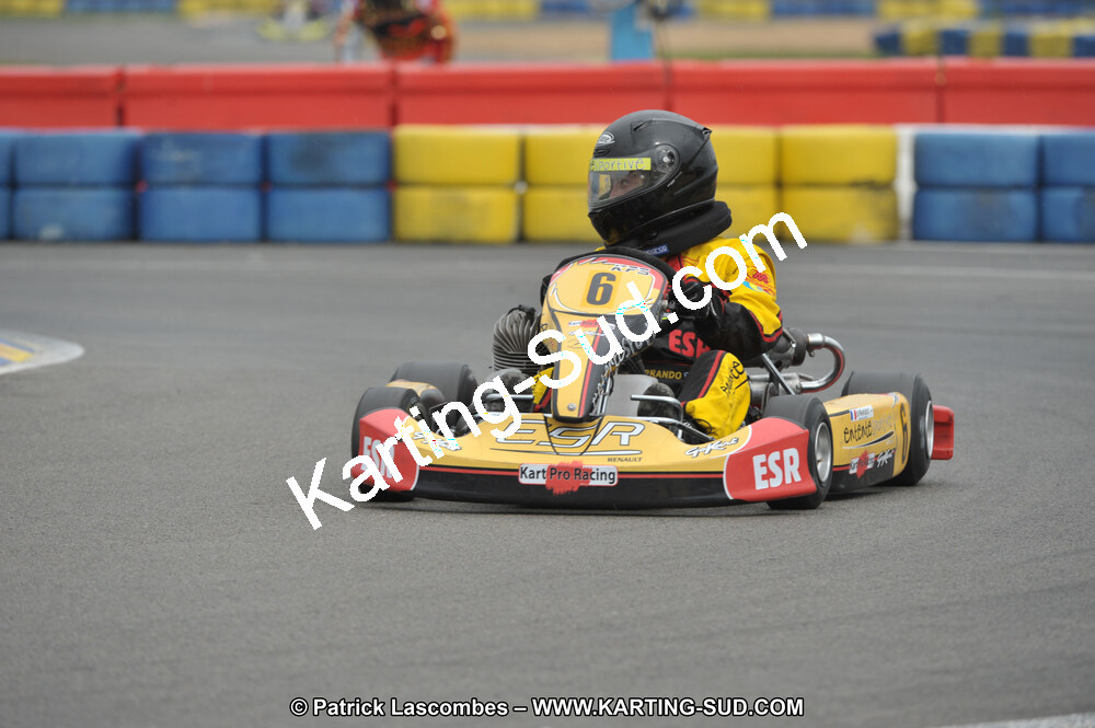 01/05/2011 : Challenge Minarelli Ouest - Le Mans (Photos Patrick Lascombes) 2011 — karting