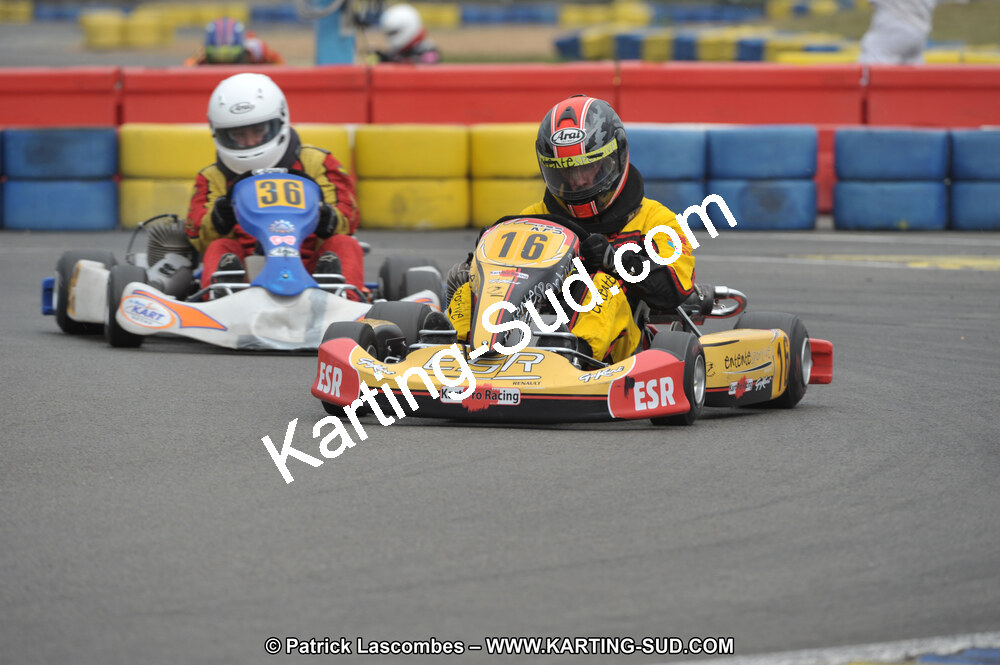 DSC_8788.JPG