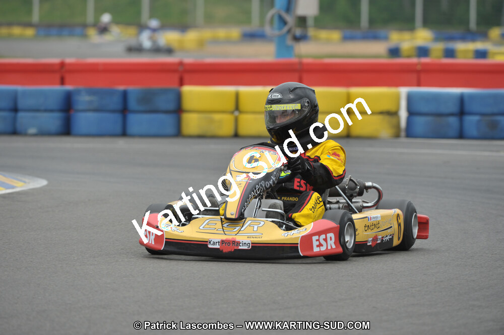 01/05/2011 : Challenge Minarelli Ouest - Le Mans (Photos Patrick Lascombes) 2011 — karting
