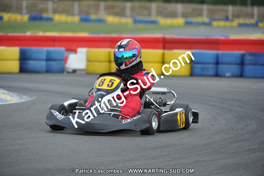 01/05/2011 : Challenge Minarelli Ouest - Le Mans (Photos Patrick Lascombes) 2011 — karting