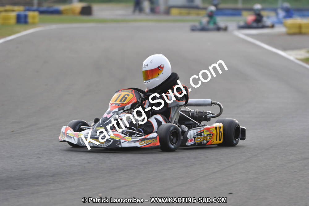 01/05/2011 : Challenge Minarelli Ouest - Le Mans (Photos Patrick Lascombes) 2011 — karting