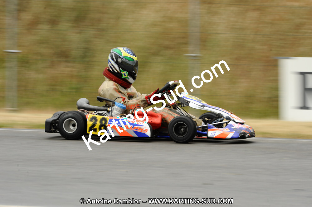 DSC_7011.JPG