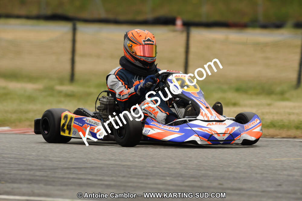 DSC_7298.JPG