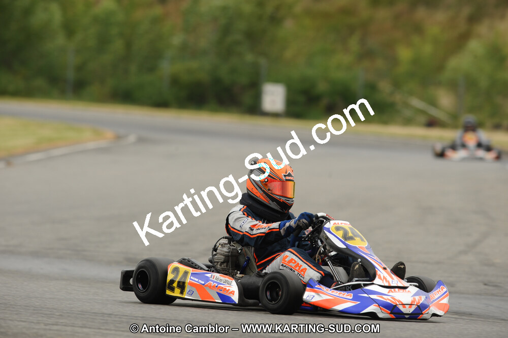 DSC_7319.JPG
