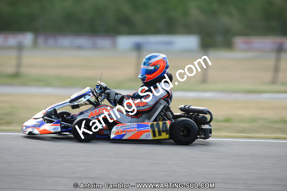 DSC_8488.JPG