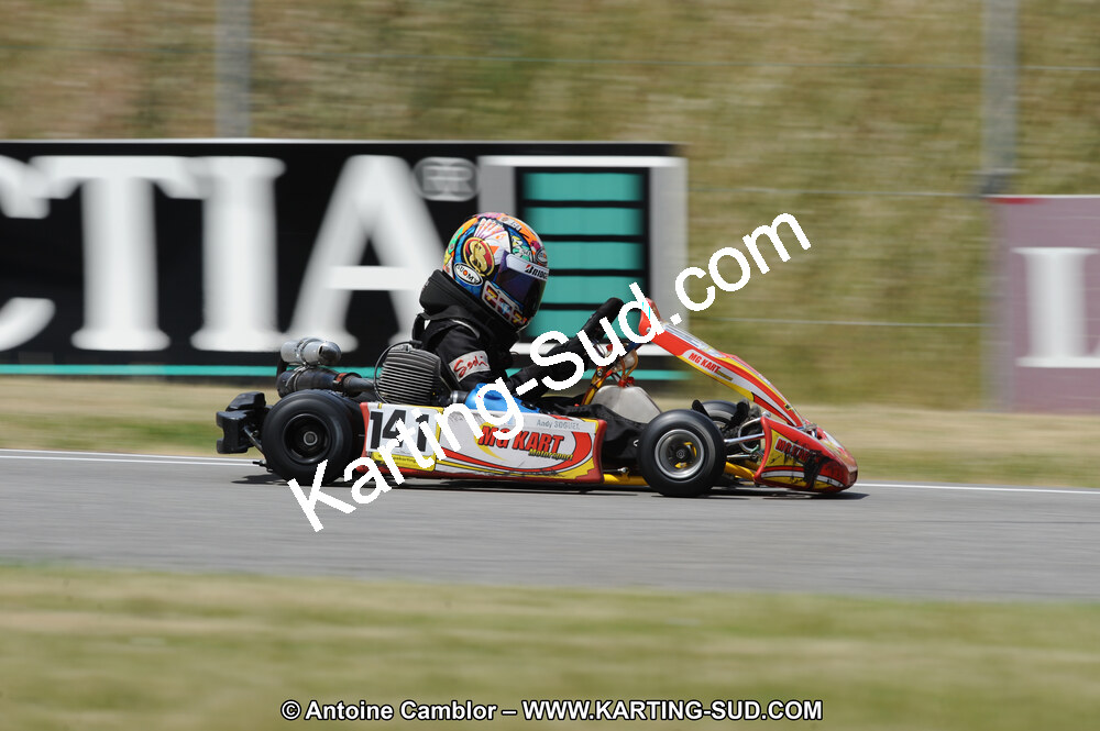 DSC_9775.JPG
