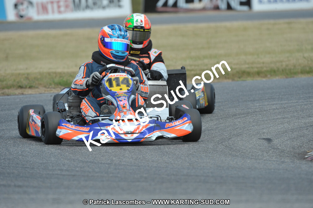DSC_0101.JPG