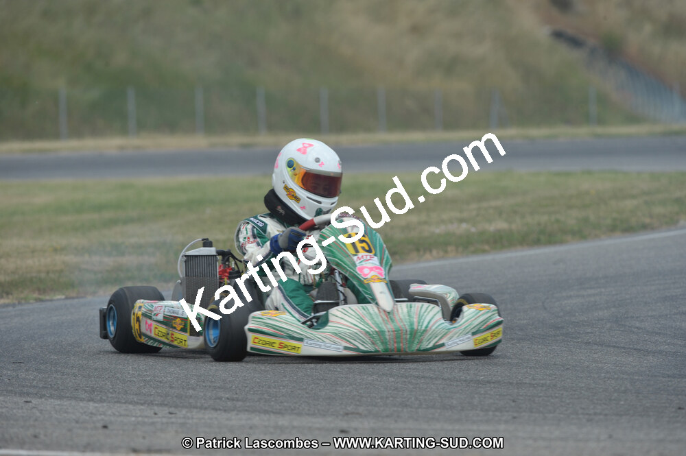DSC_0238.JPG