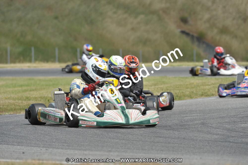 DSC_0253.JPG